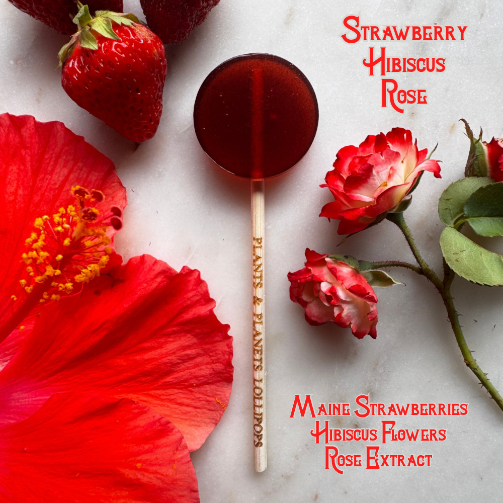Plants & Planets Lollipops - Strawberry Hibiscus Rose- Venus