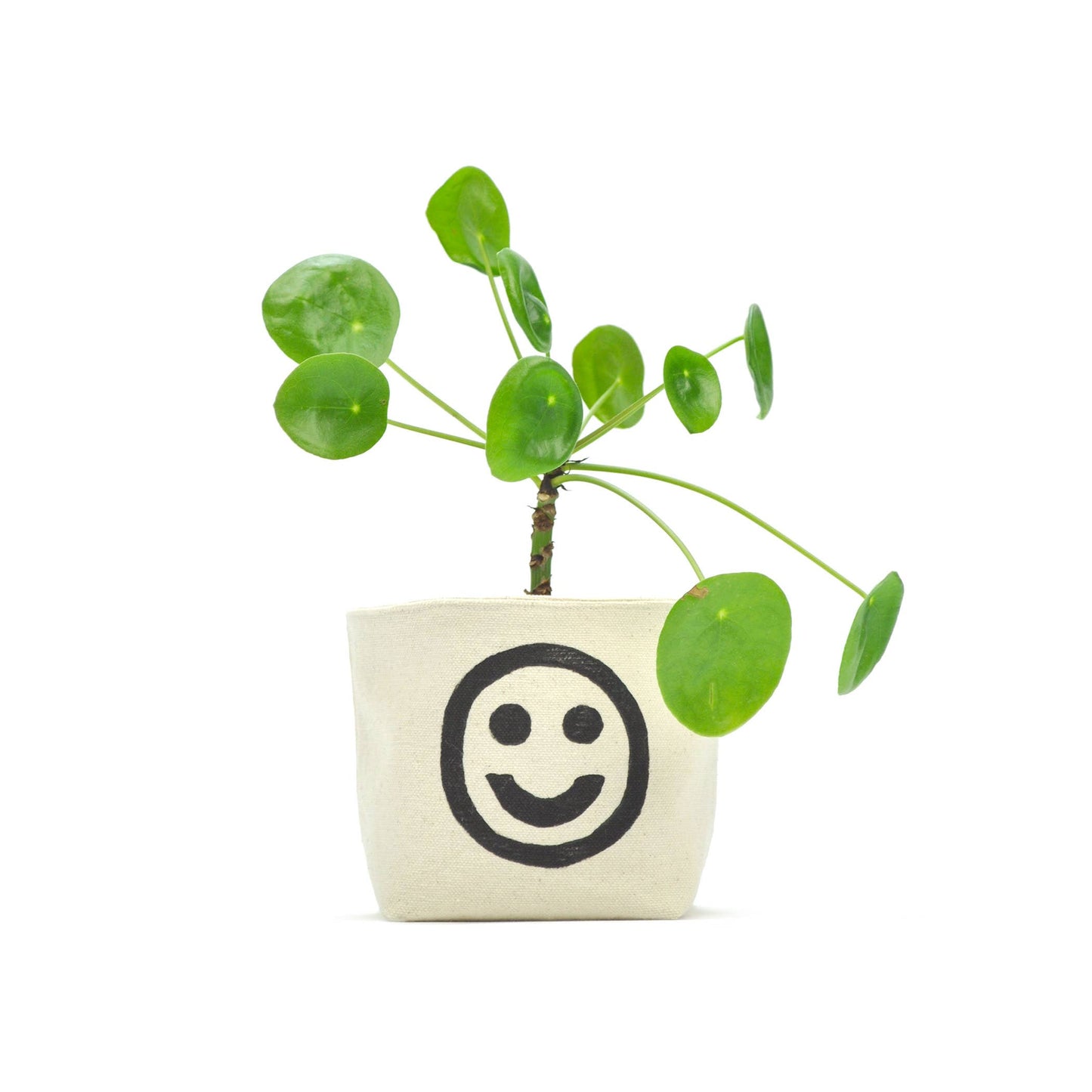 Smiley Face Blockprint Canvas Planter—4"
