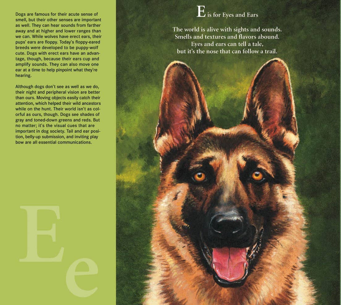 W is for Woof: A Dog Alphabet Picture Book