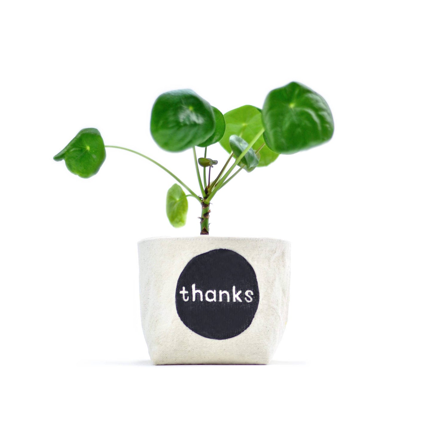 "thanks" Blockprint Canvas Planter—4"
