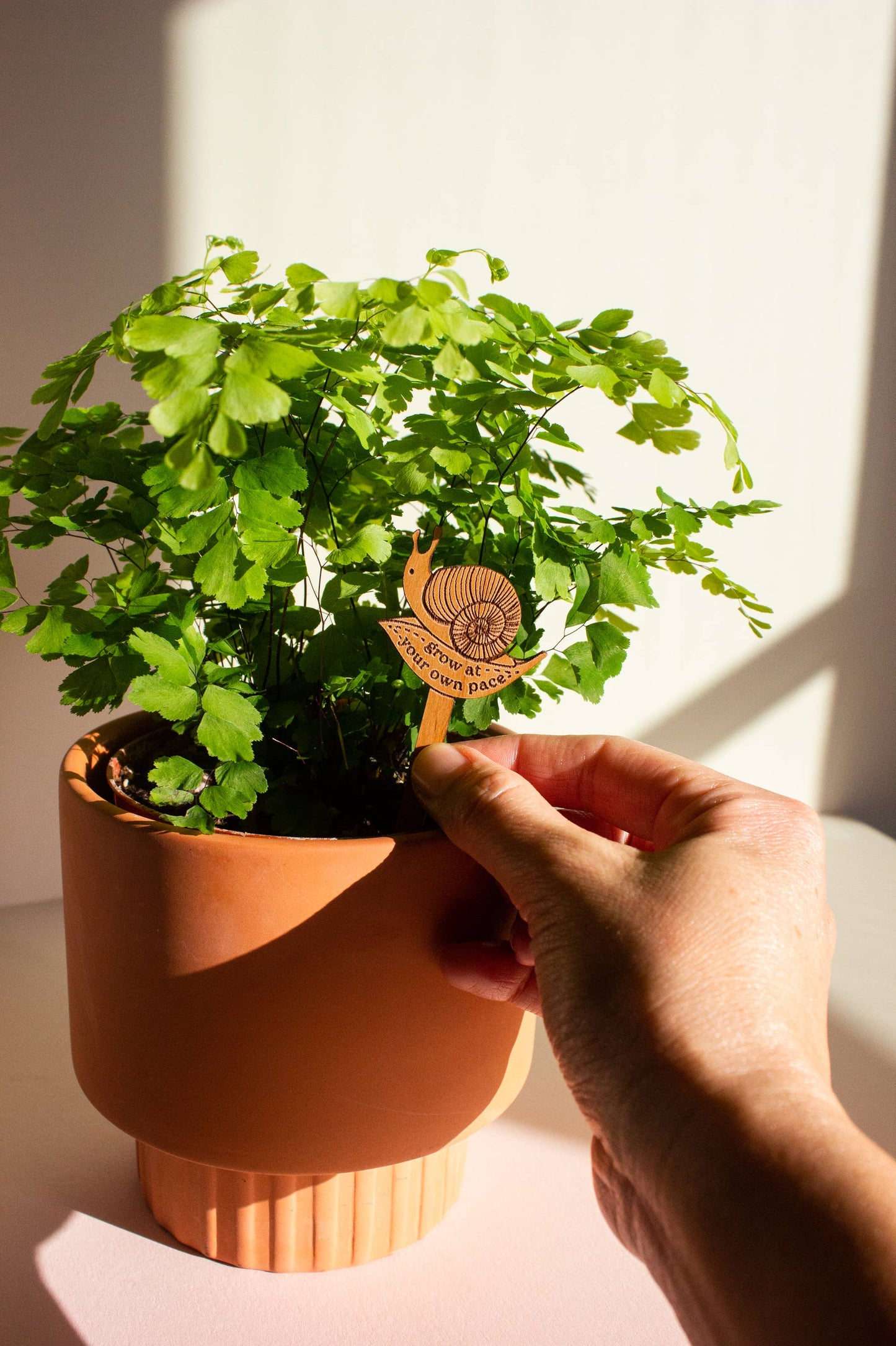Grow at Your Own Pace Snail Wood Plant Pick