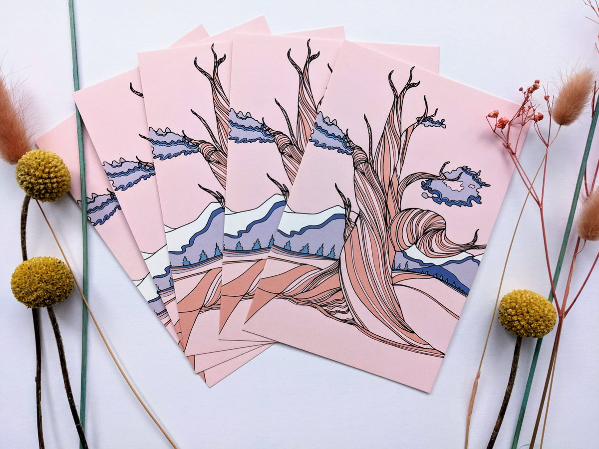 Bristlecone Pine Postcard, Nevada State Tree Postcard