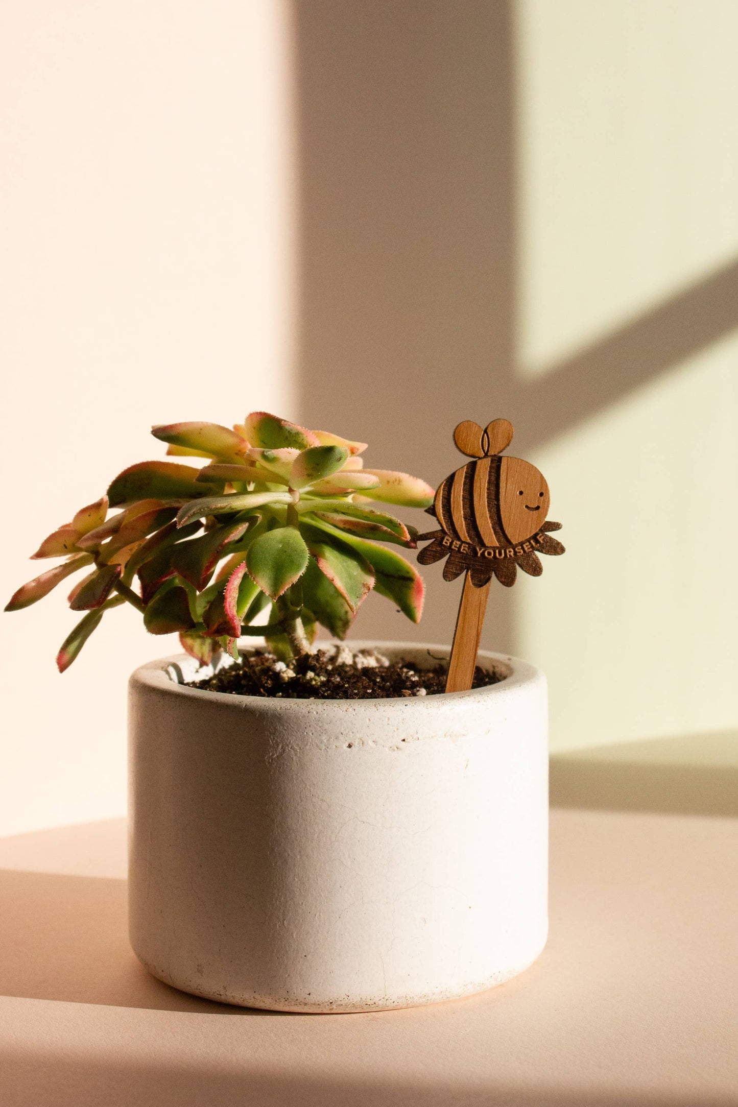 Bee Yourself Bumblebee Wood Plant Pick