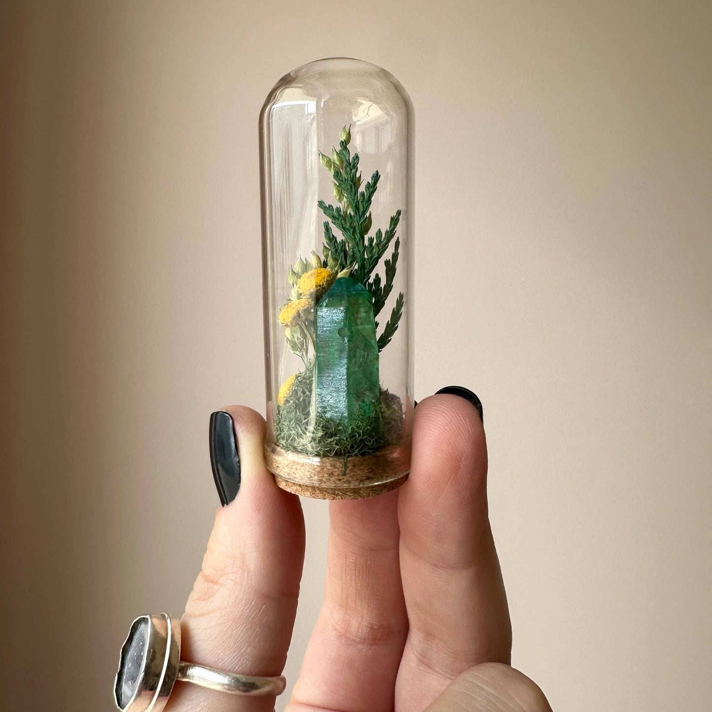 Sunlight Crystal Fair Terrarium Mini Floral Glass Cloche
