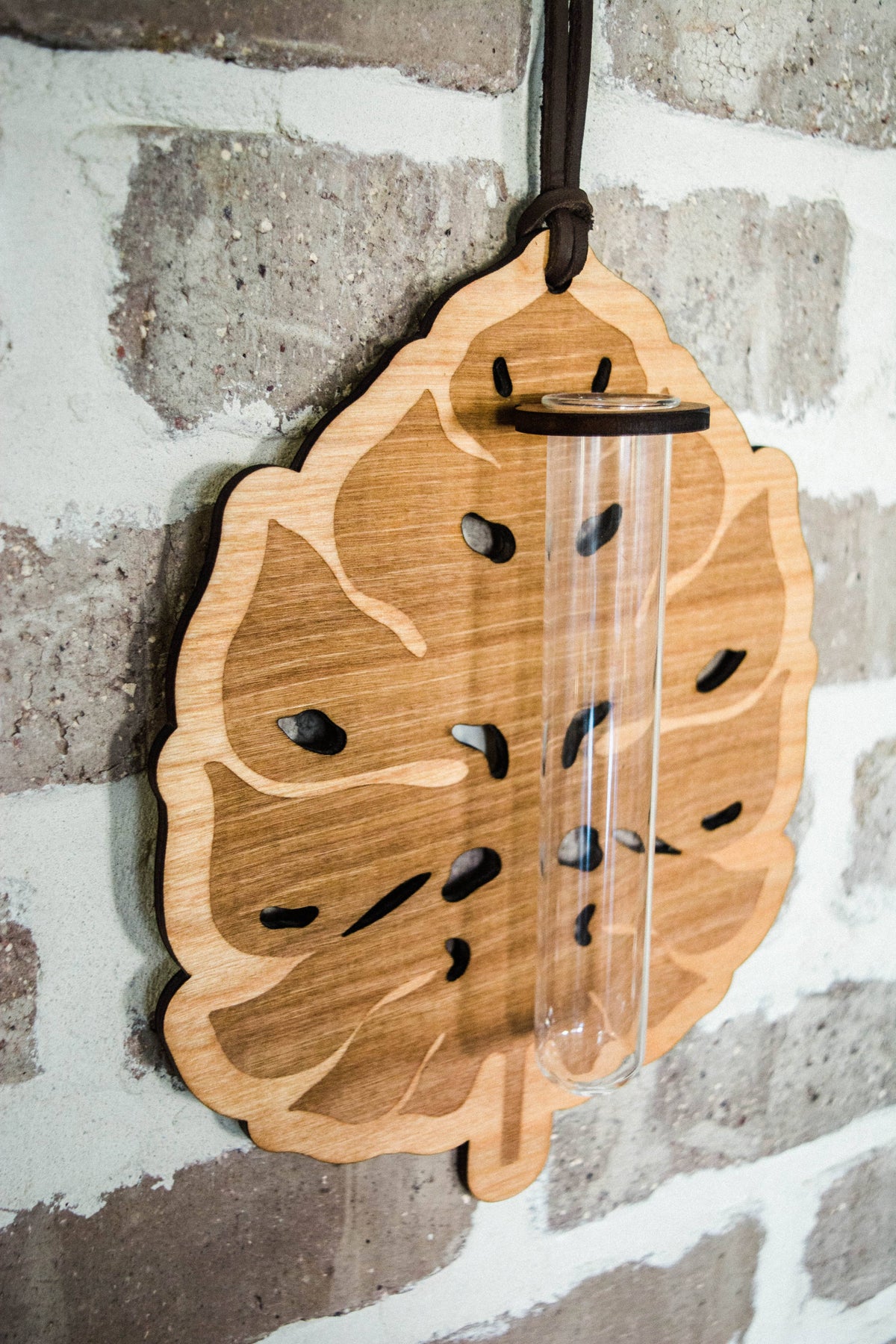 Monstera Deliciosa Plant Hanging Planter Propagation Station