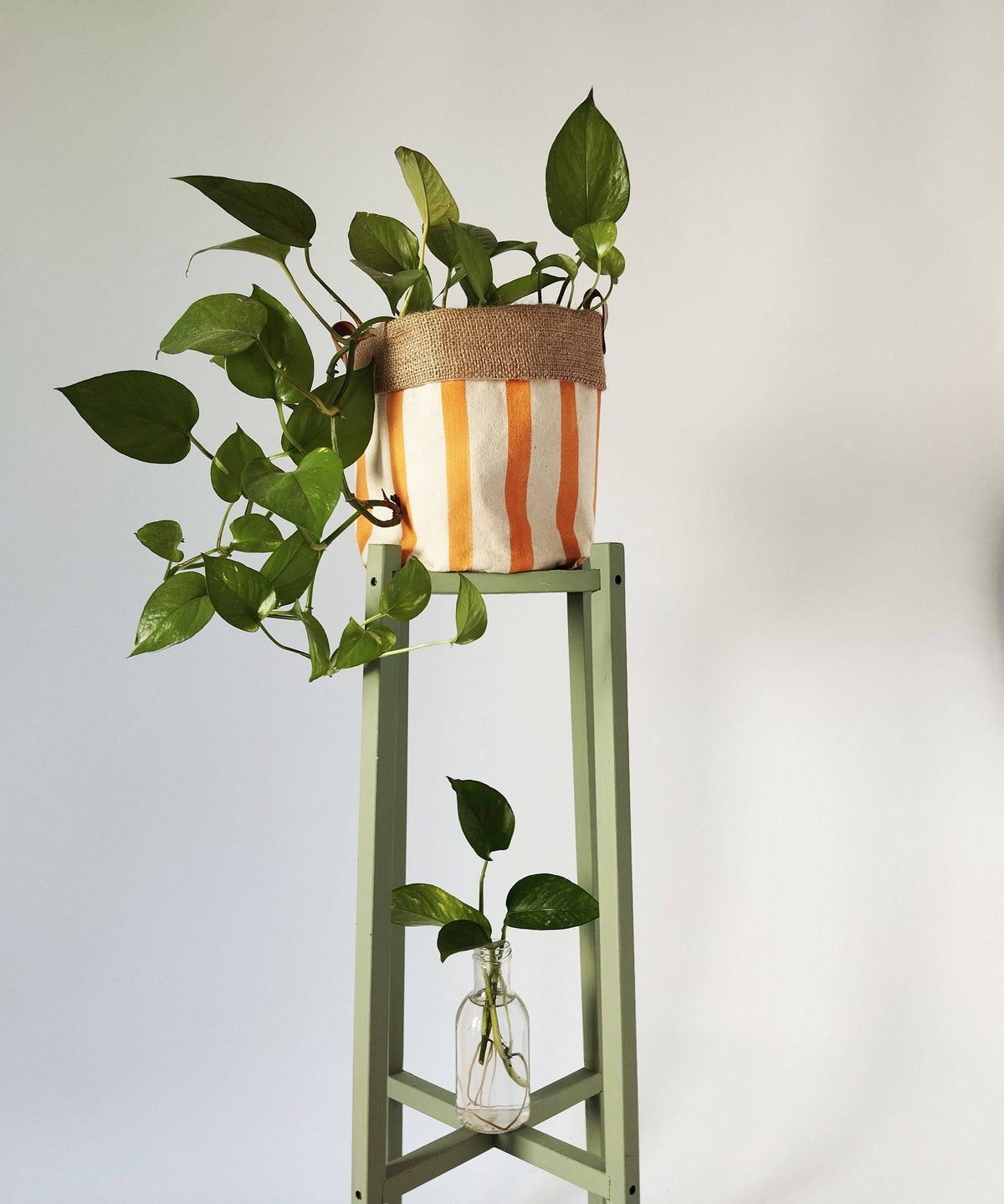 Medium Indoor Planter with Stripes