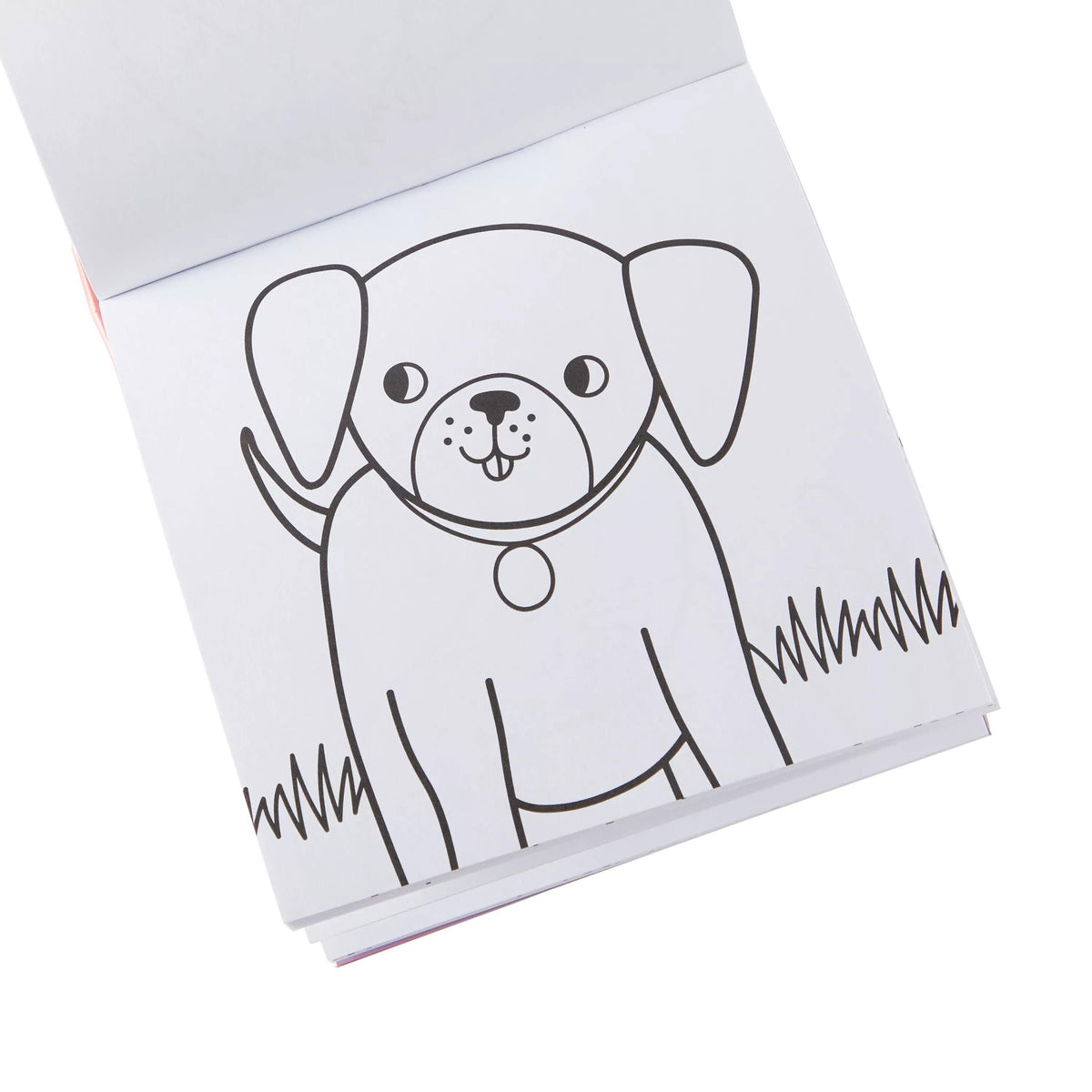 Carry-Along Coloring Book Set - Pet Pals