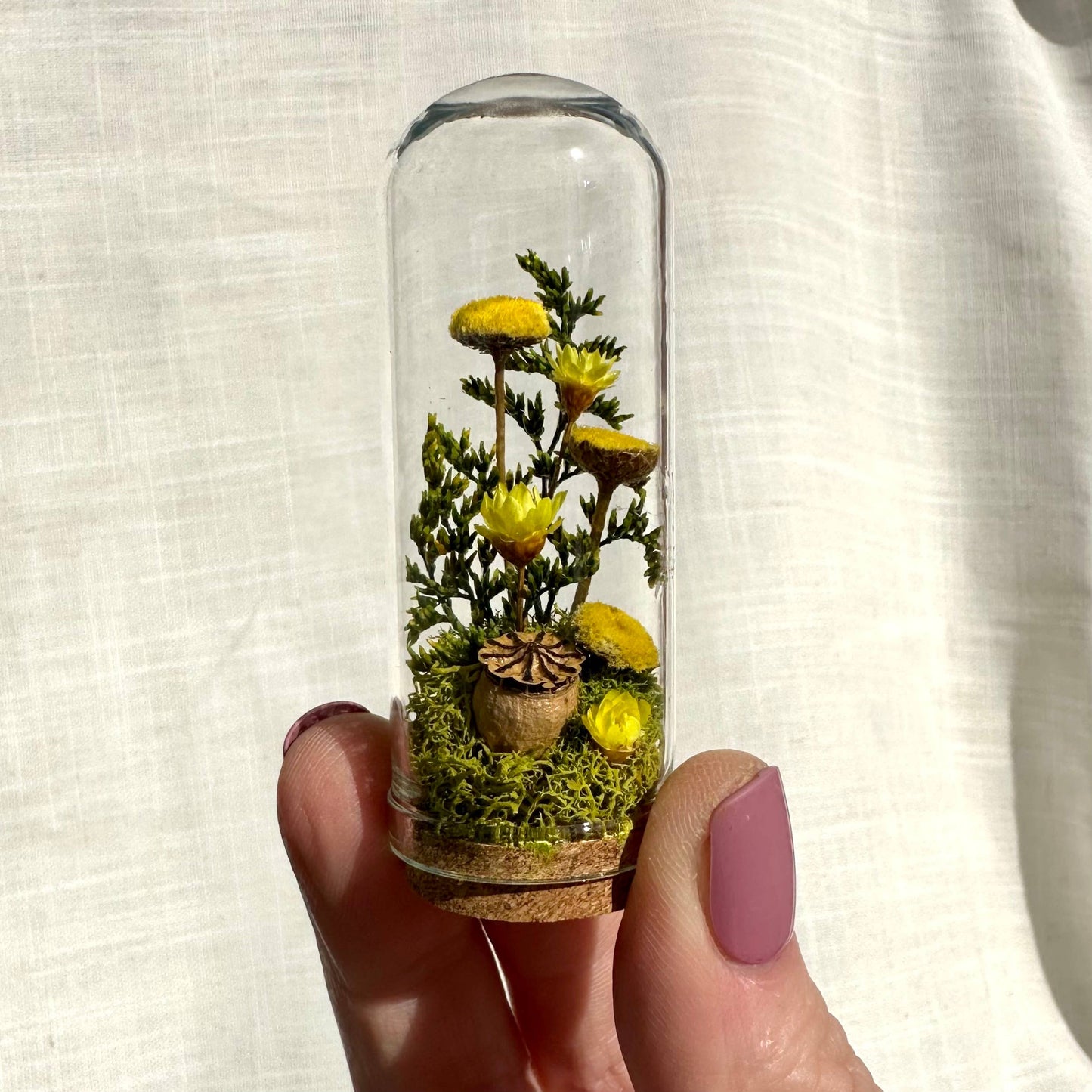 Flower Forest Mix Mini Cloche Terrarium w. Dried Florals