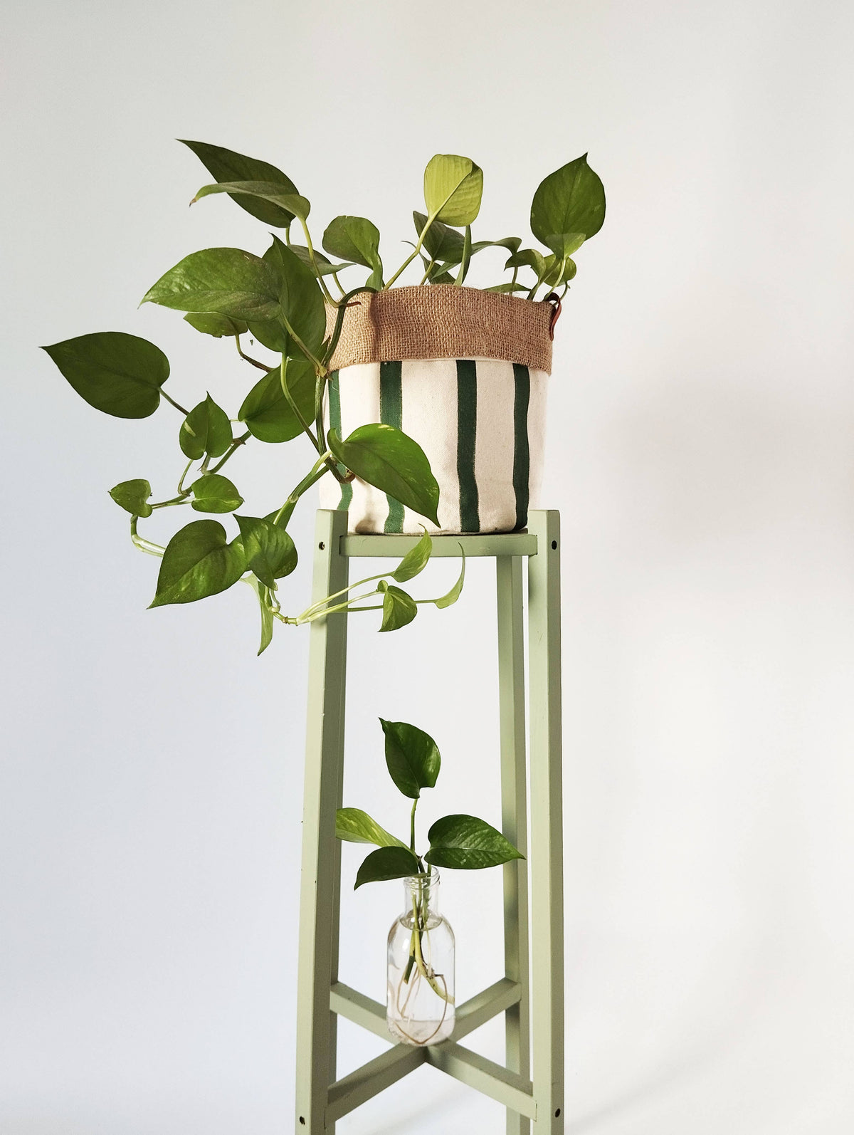 Medium Indoor Planter with Stripes