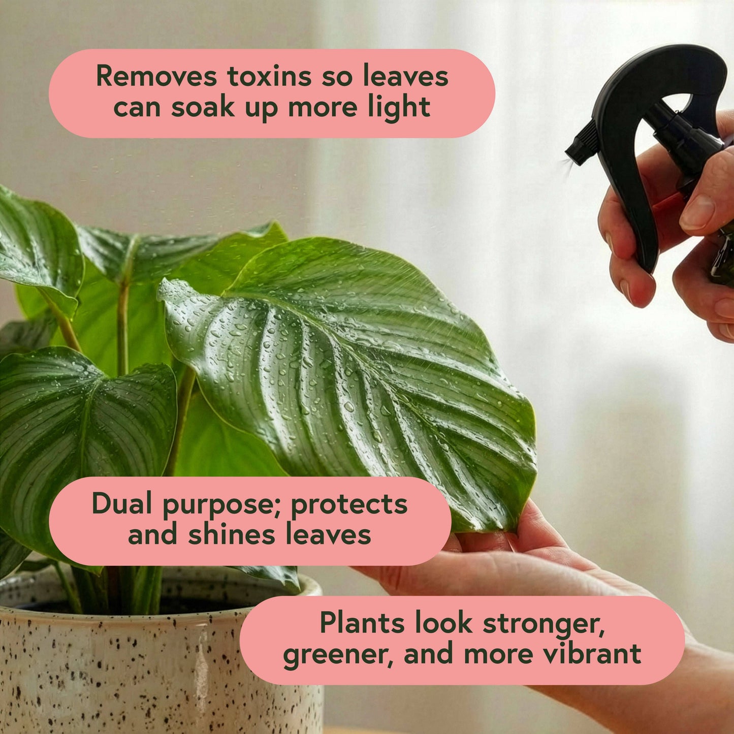 Protect Organic Leaf Spray 16.9 oz