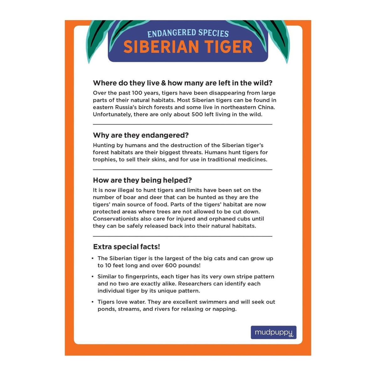 Siberian Tiger Endangered Species 300 Piece Puzzle