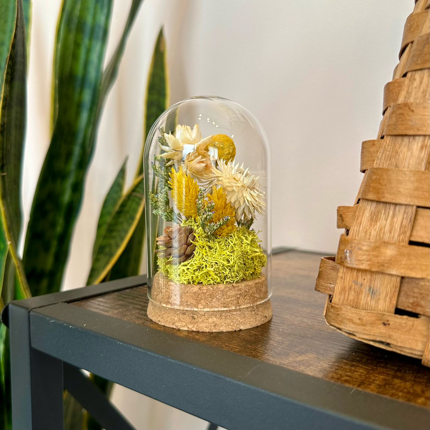 Honeyglow Large Terrarium With Dried Florals and Botanicals