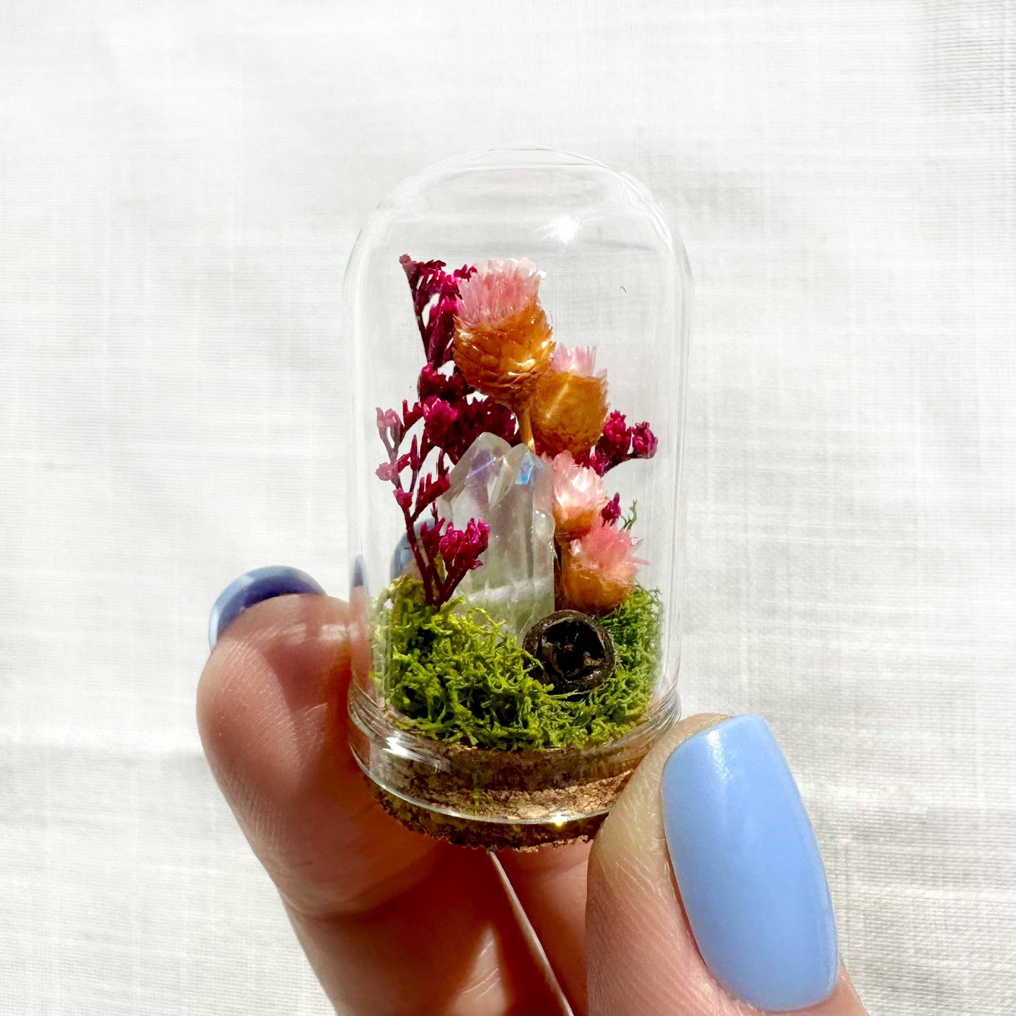 Crystal Fairy Garden Mix Mini Glass Cloche Terrariums