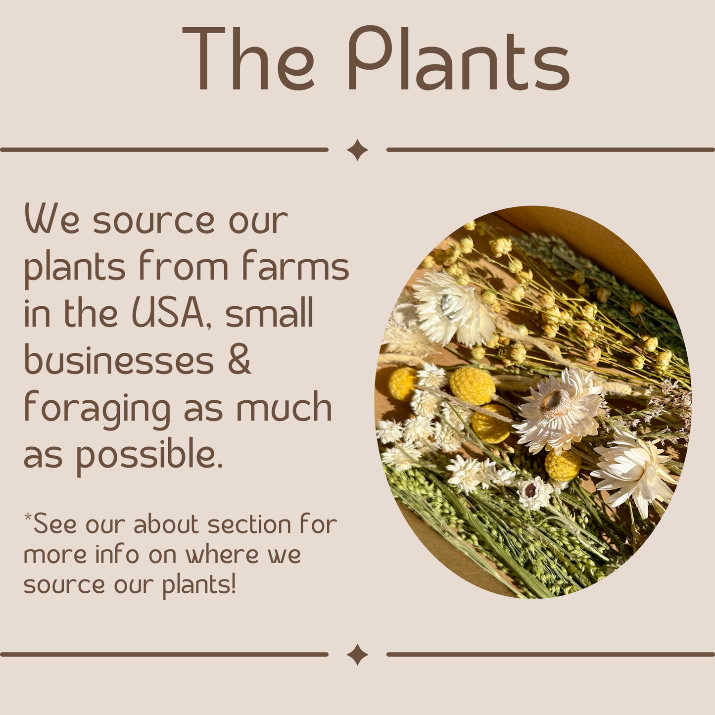 Honeyglow Large Terrarium With Dried Florals and Botanicals