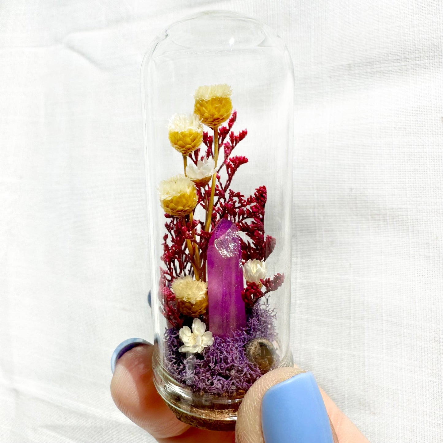 Crystal Fairy Garden Mix Mini Glass Cloche Terrariums