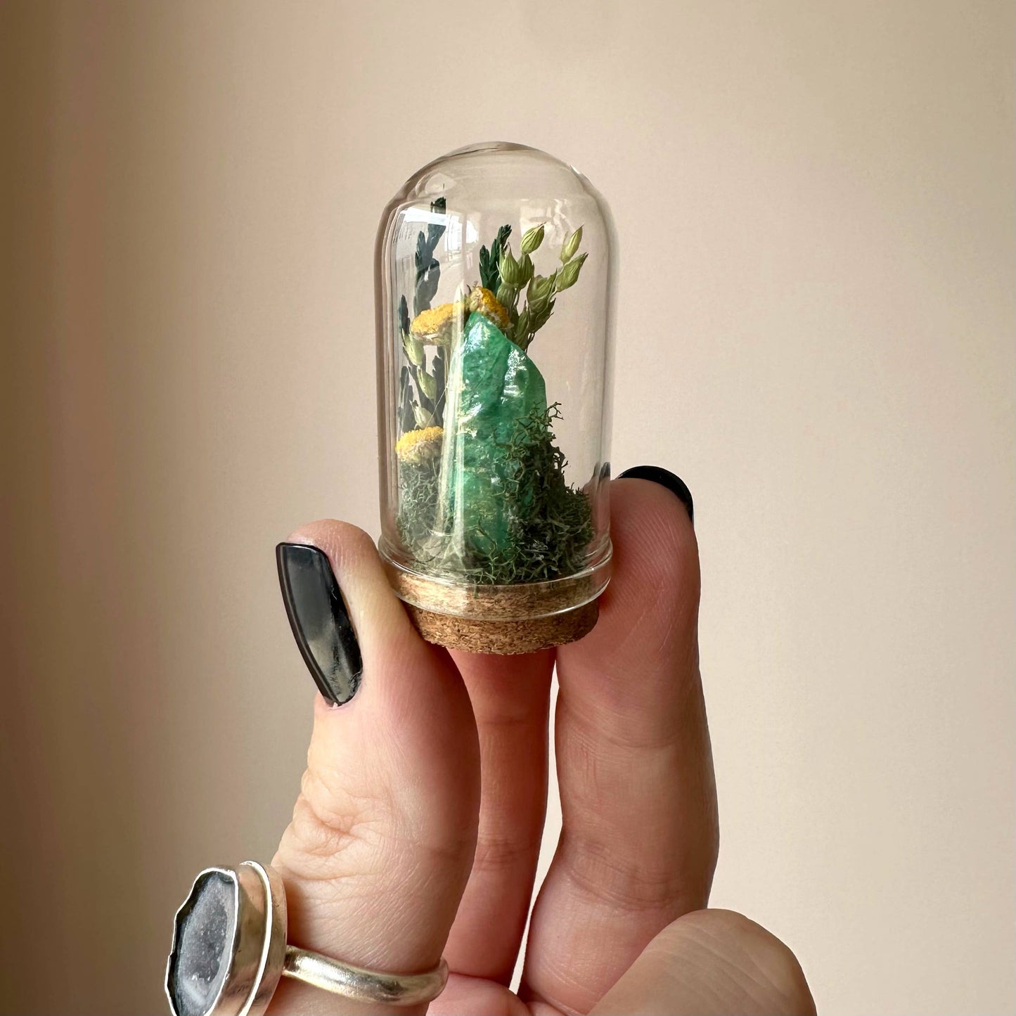 Sunlight Crystal Fair Terrarium Mini Floral Glass Cloche