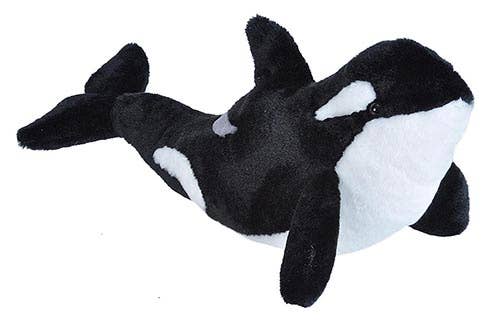 CK Orca Stuffed Animal 12"