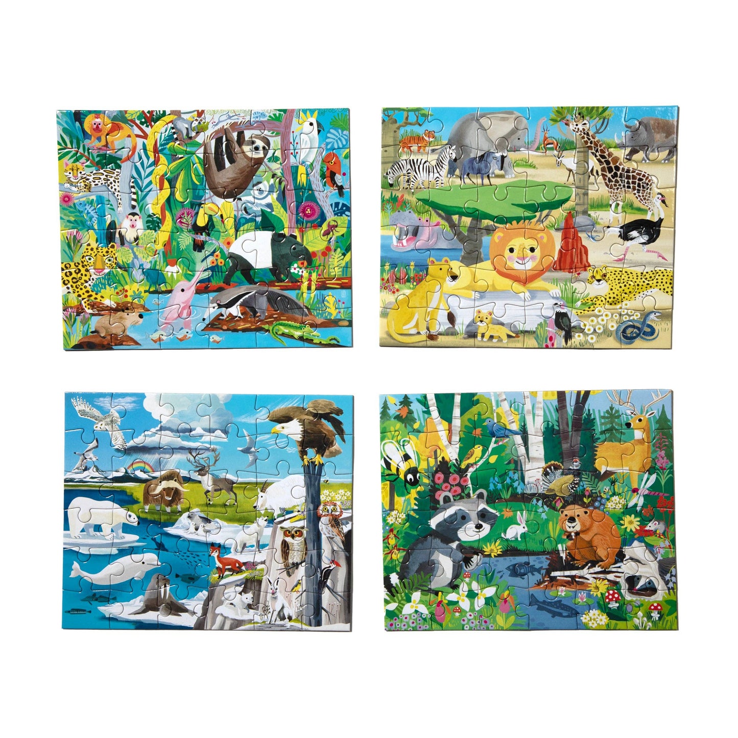 Wild Habitats 36 Piece Miniature Puzzle Assortment