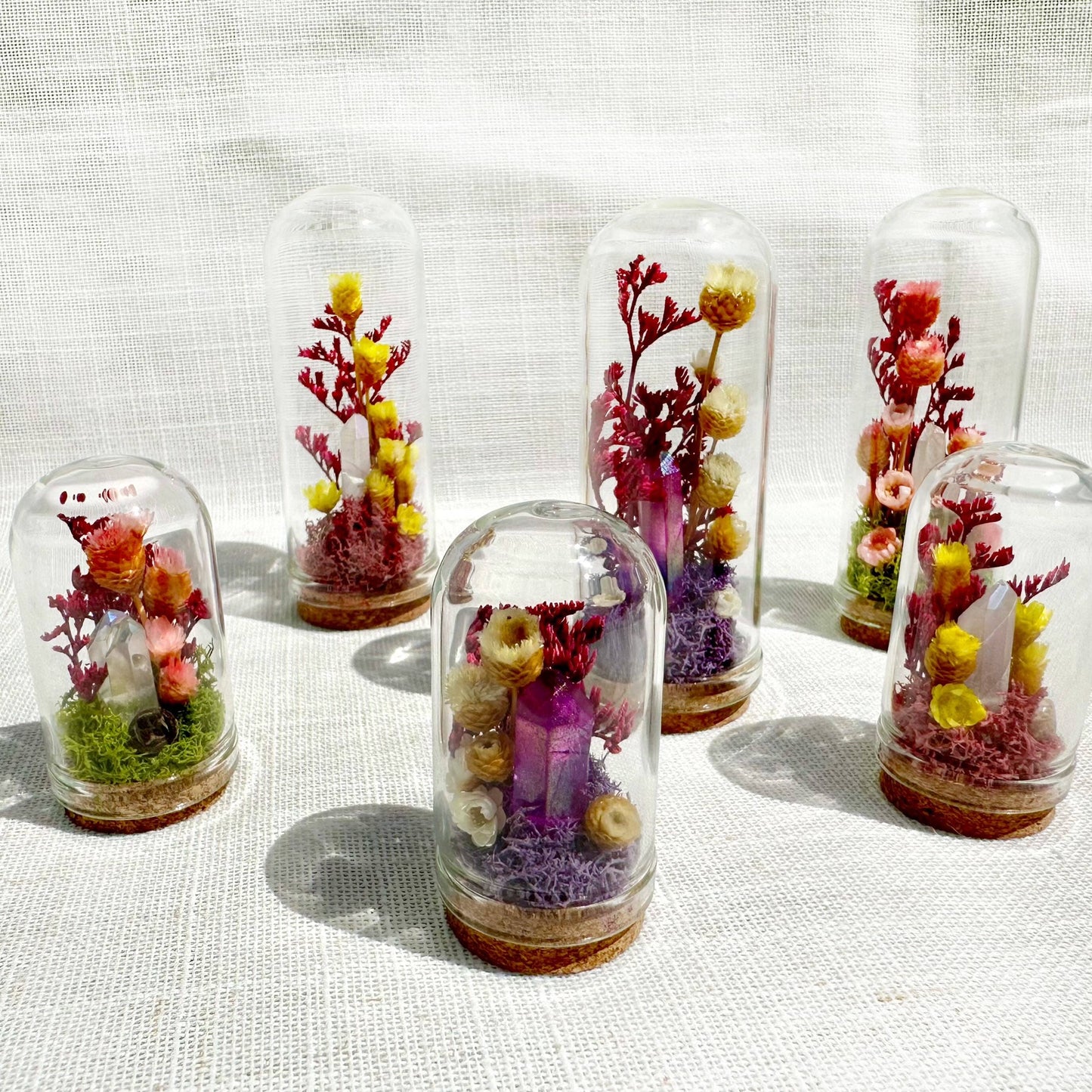 Crystal Fairy Garden Mix Mini Glass Cloche Terrariums
