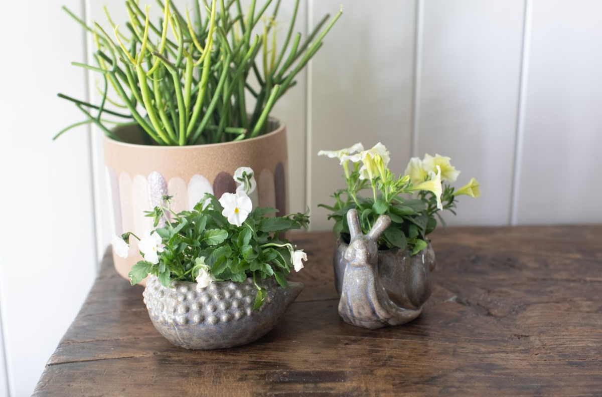 ***Ceramic Hedgehog Planter