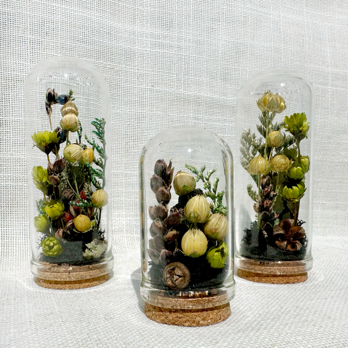 Haunted Forest Mini Terrarium Halloween Dried Floral Cloche