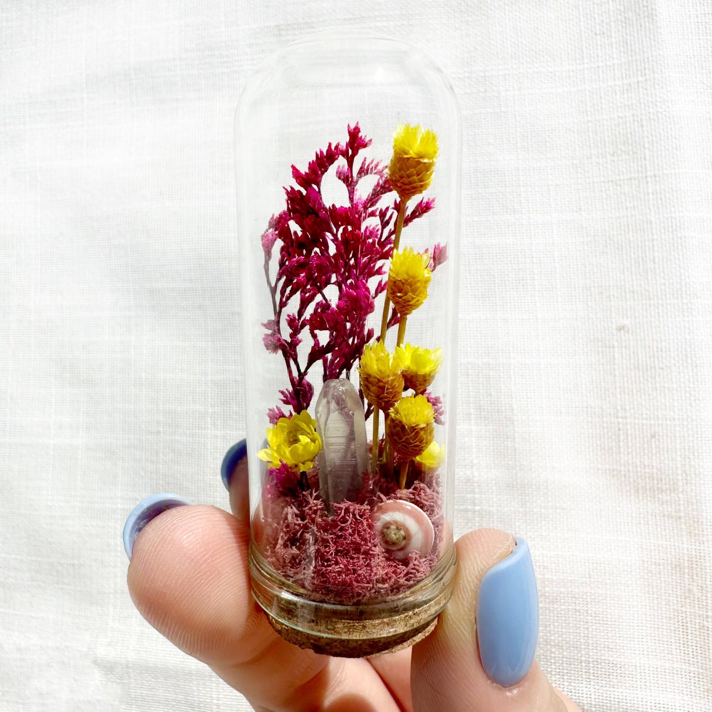 Crystal Fairy Garden Mix Mini Glass Cloche Terrariums