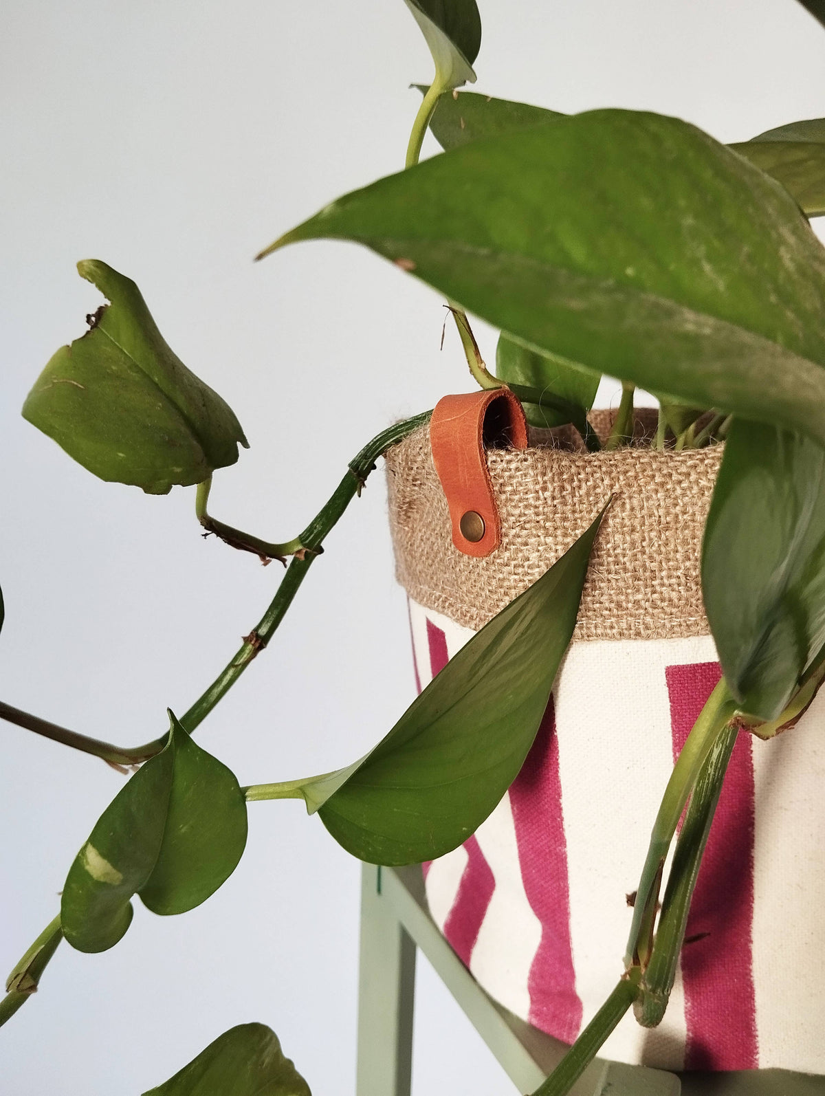 Medium Indoor Planter with Stripes