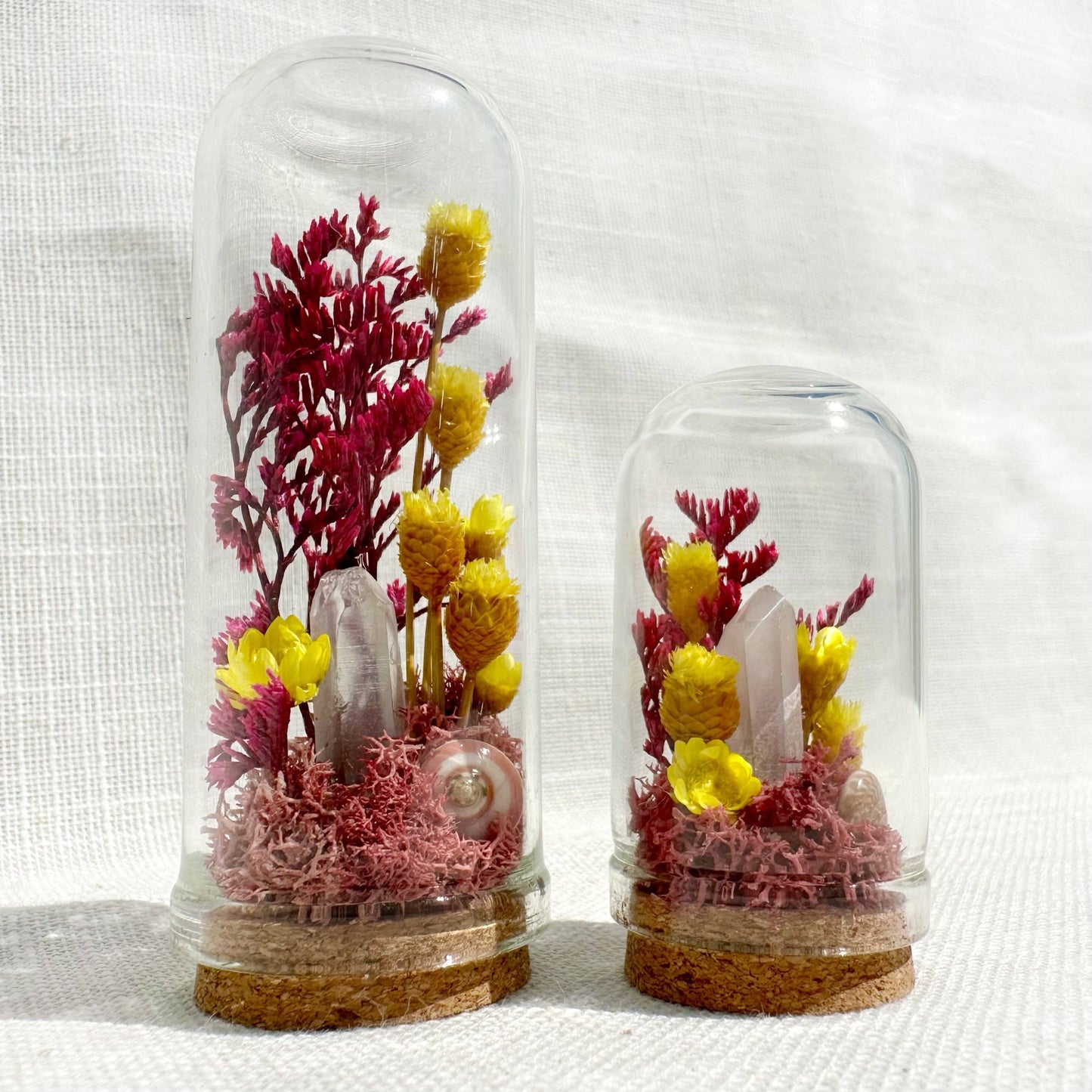 Crystal Fairy Garden Mix Mini Glass Cloche Terrariums