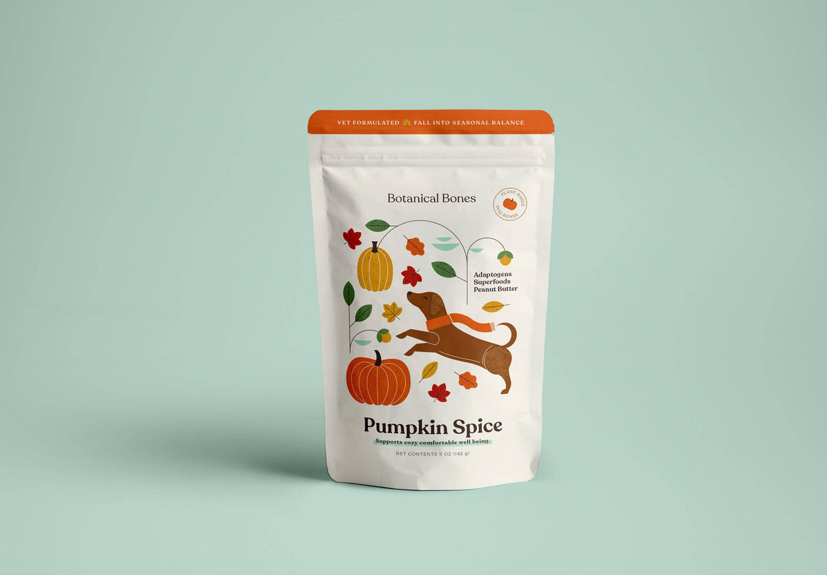 Pumpkin Spice Dog Treats 🎃  Fall, Autumn, Halloween