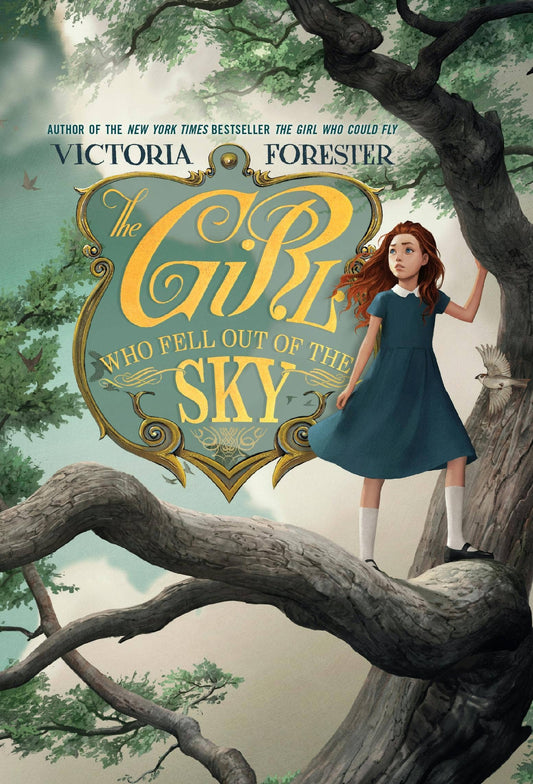Girl Who Fell Out Of The Sky, The