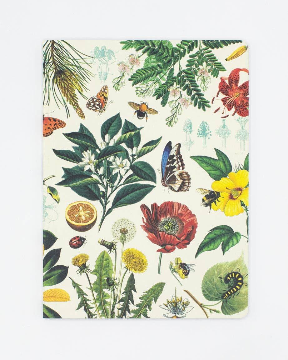 Pollinators Softcover Notebook - Lined (Case of 6)