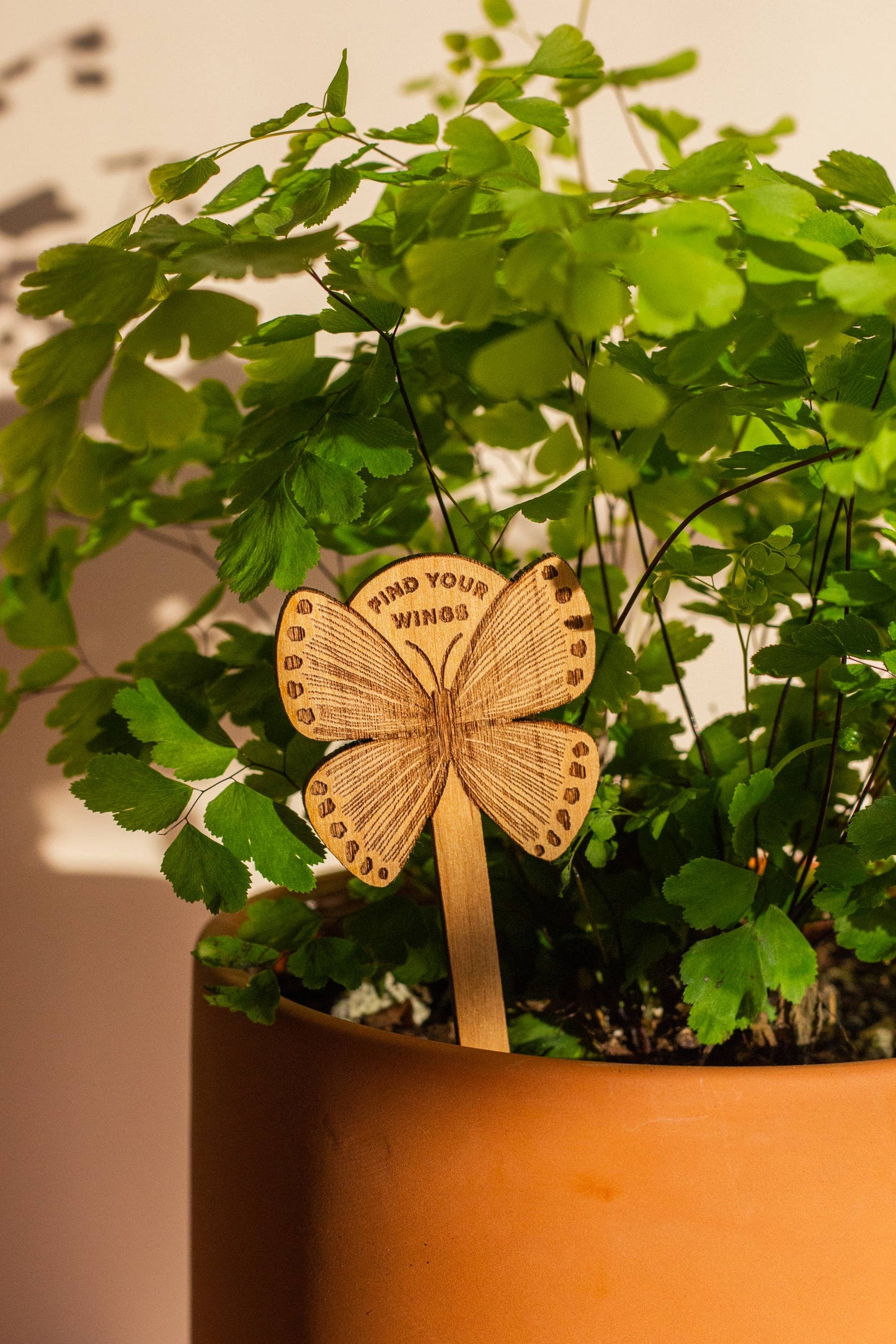 Find Your Wings Butterfly Wood Plant Pick