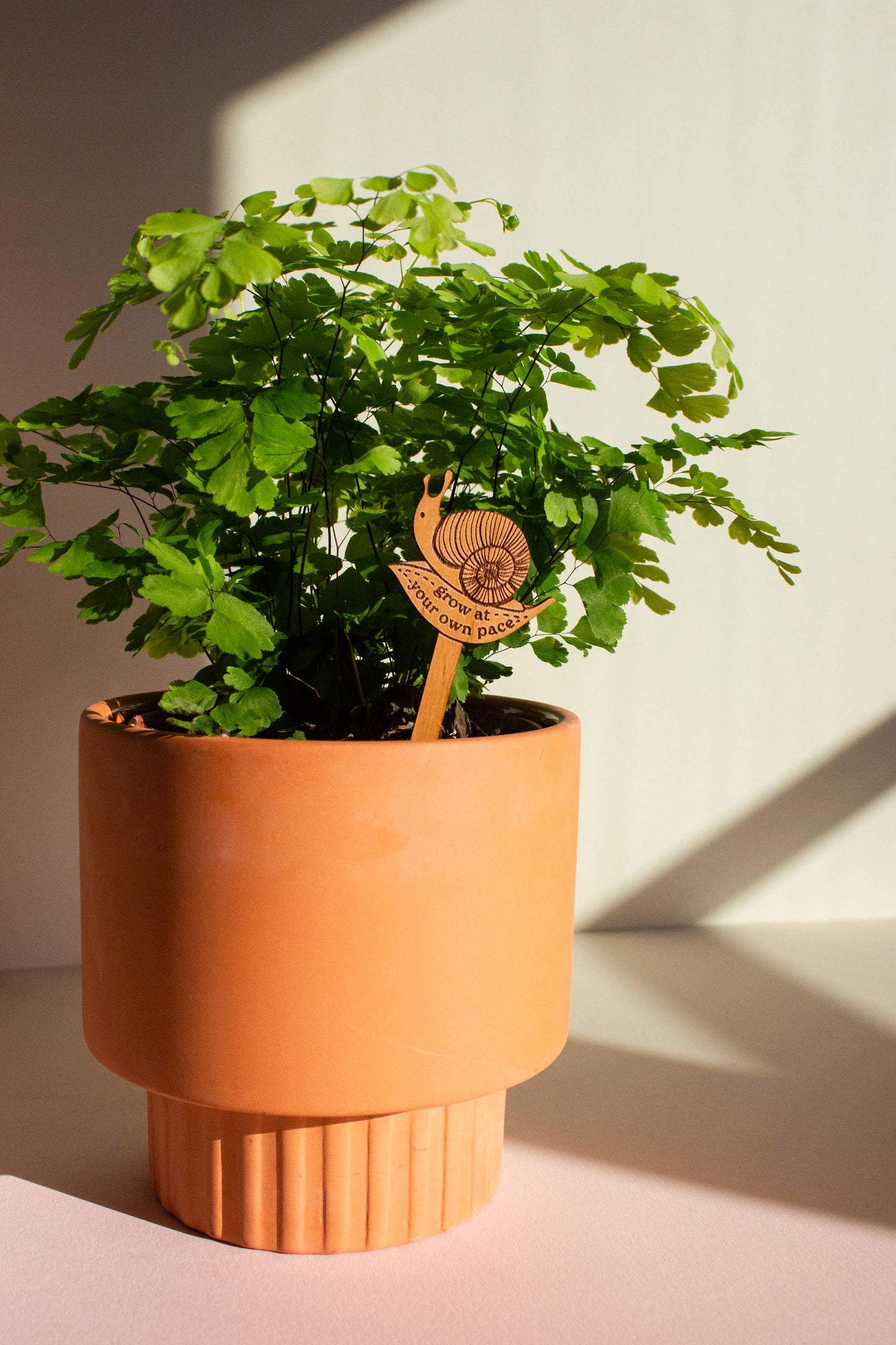 Grow at Your Own Pace Snail Wood Plant Pick