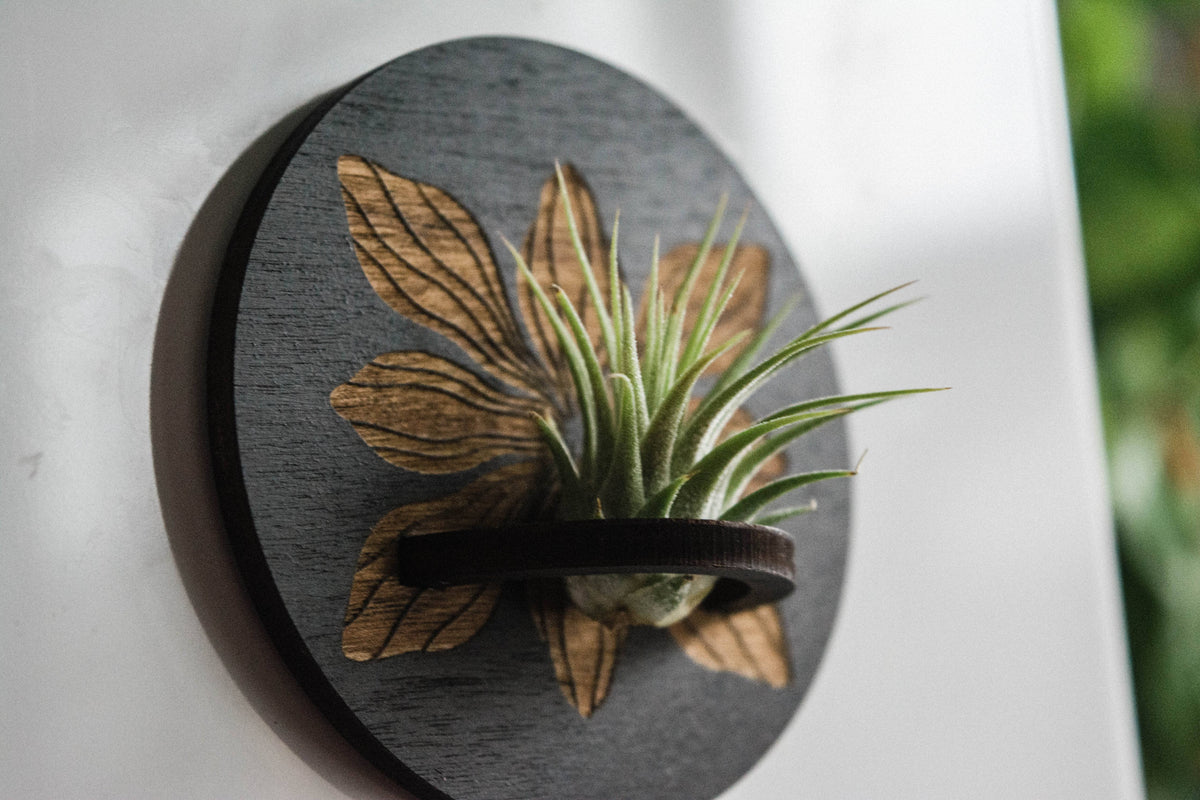 Art Deco Flower Airplant Holder Magnet Round