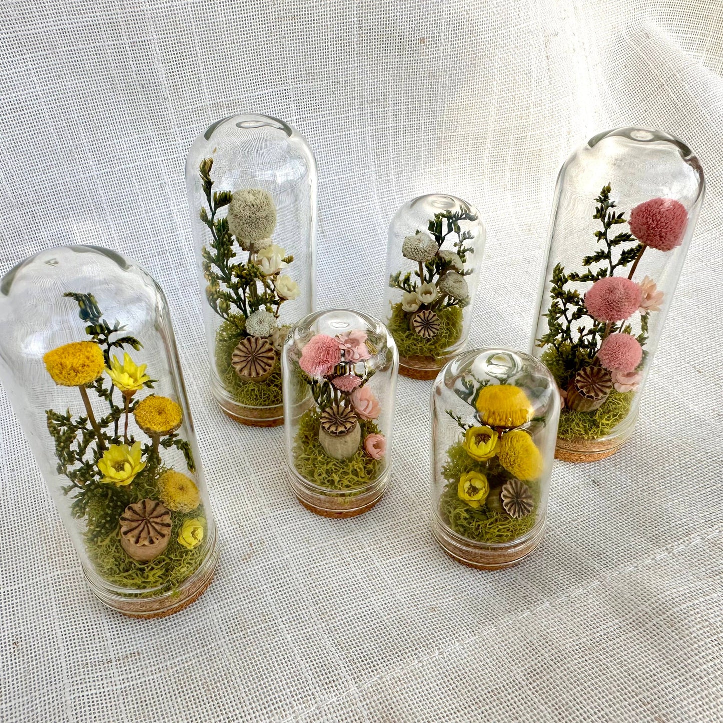 Flower Forest Mix Mini Cloche Terrarium w. Dried Florals
