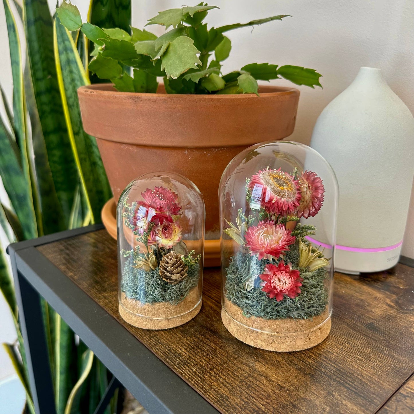 Pink Strawflower Fields Large Terrarium Glass Jar w. Florals