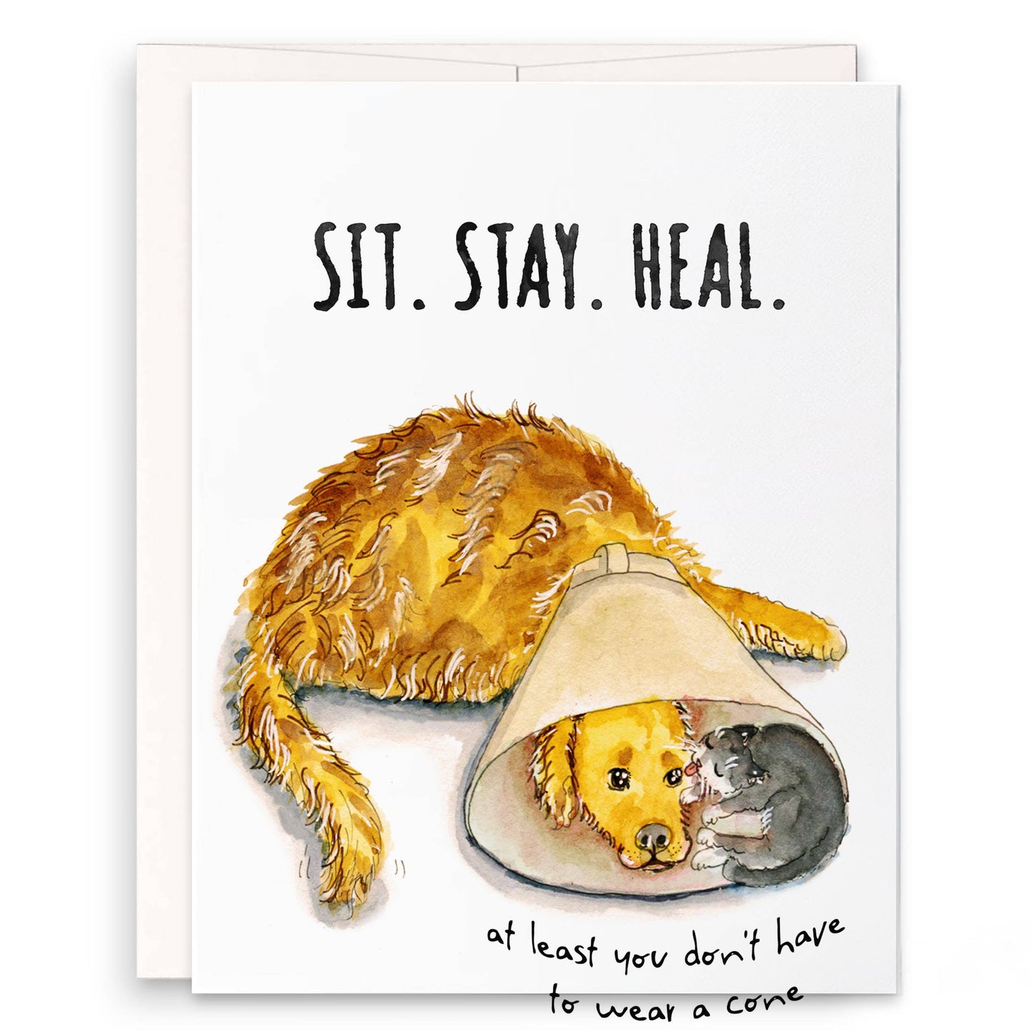Cone Of Shame Dog And Cat - Sympathy Card