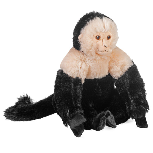 Ck-Eco White Faced Capuchin