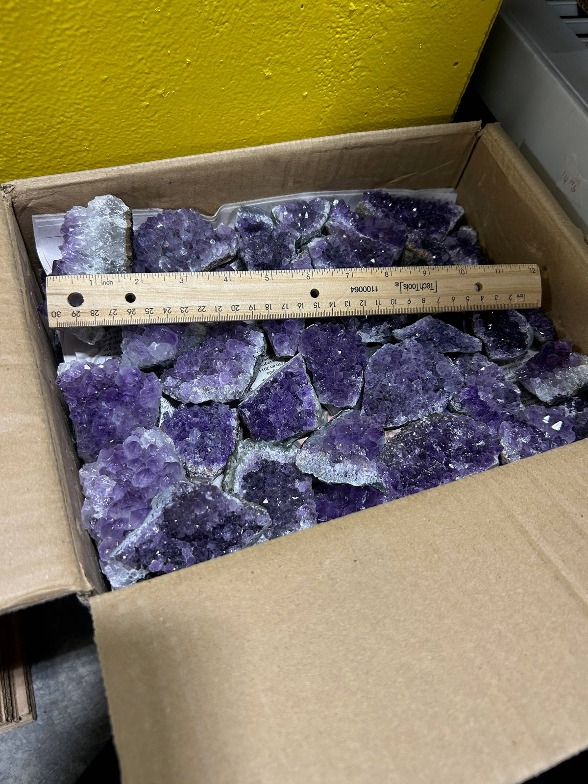 A/B Quality Amethyst Clusters 1lb lot (Crystals & Stones)