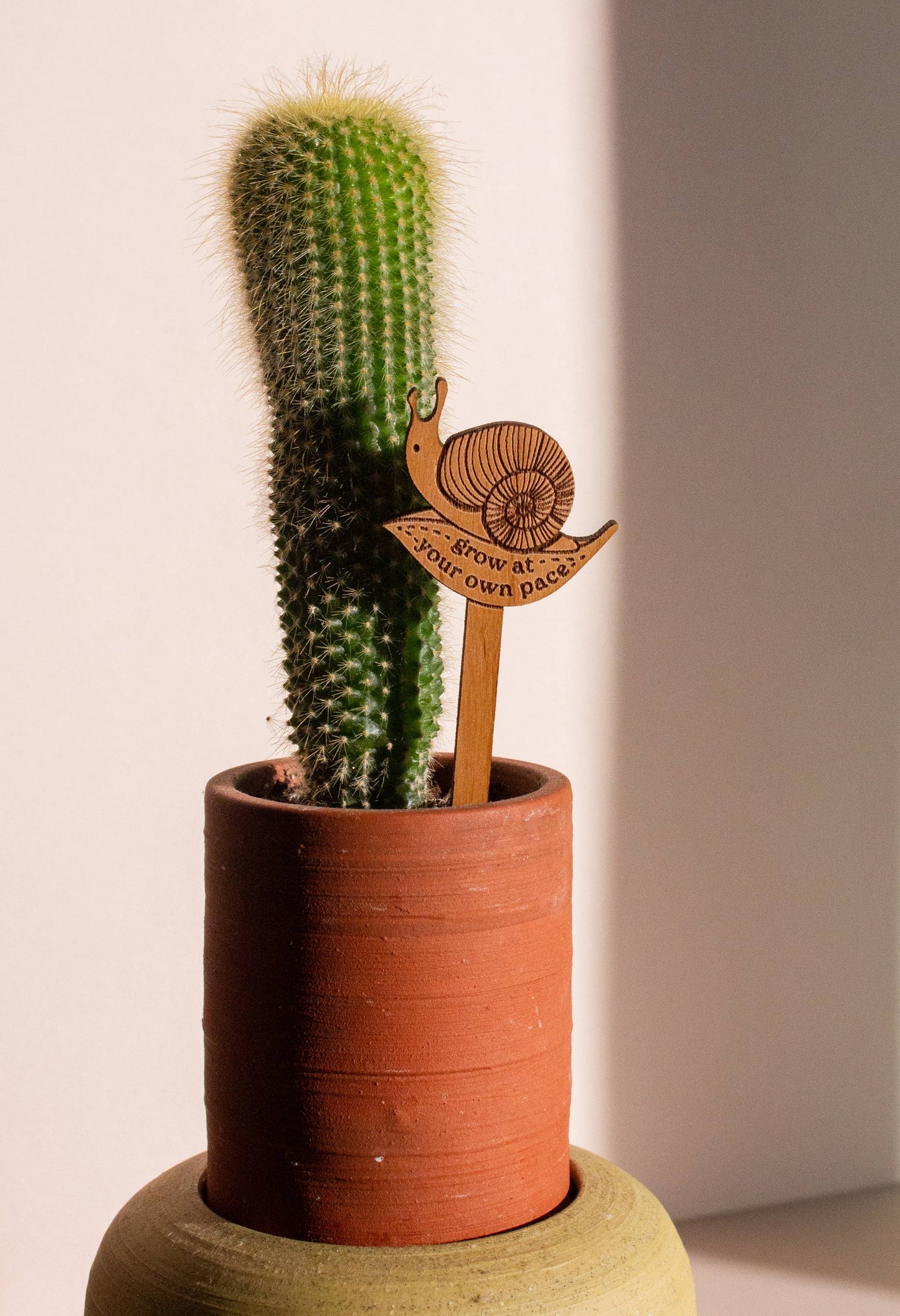 Grow at Your Own Pace Snail Wood Plant Pick