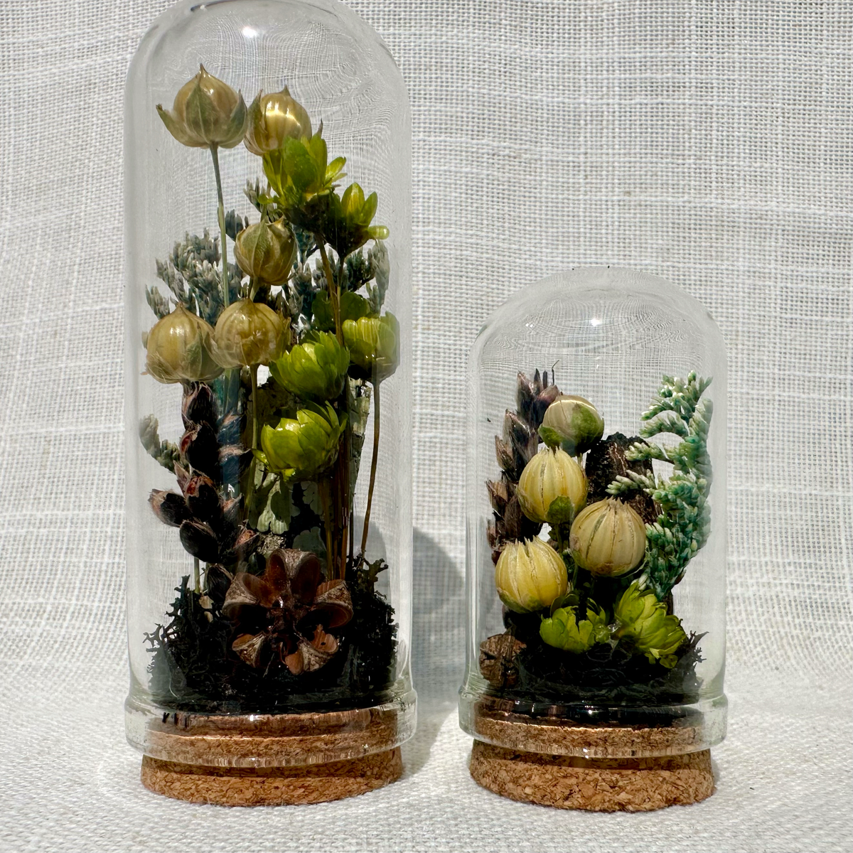 Haunted Forest Mini Terrarium Halloween Dried Floral Cloche