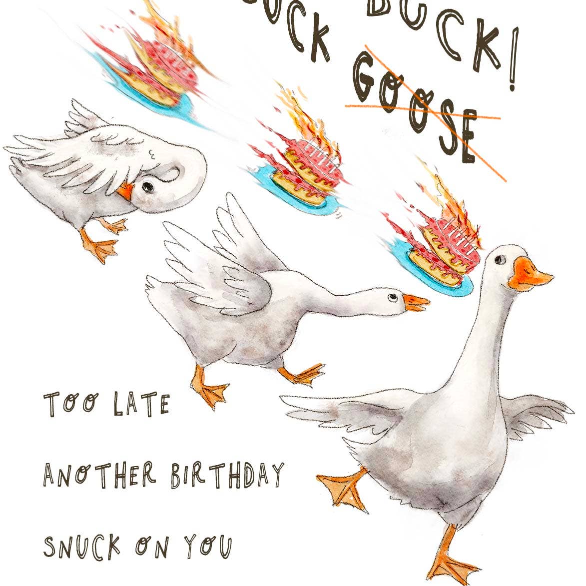 Duck Duck Goose - Funny Birthday Card