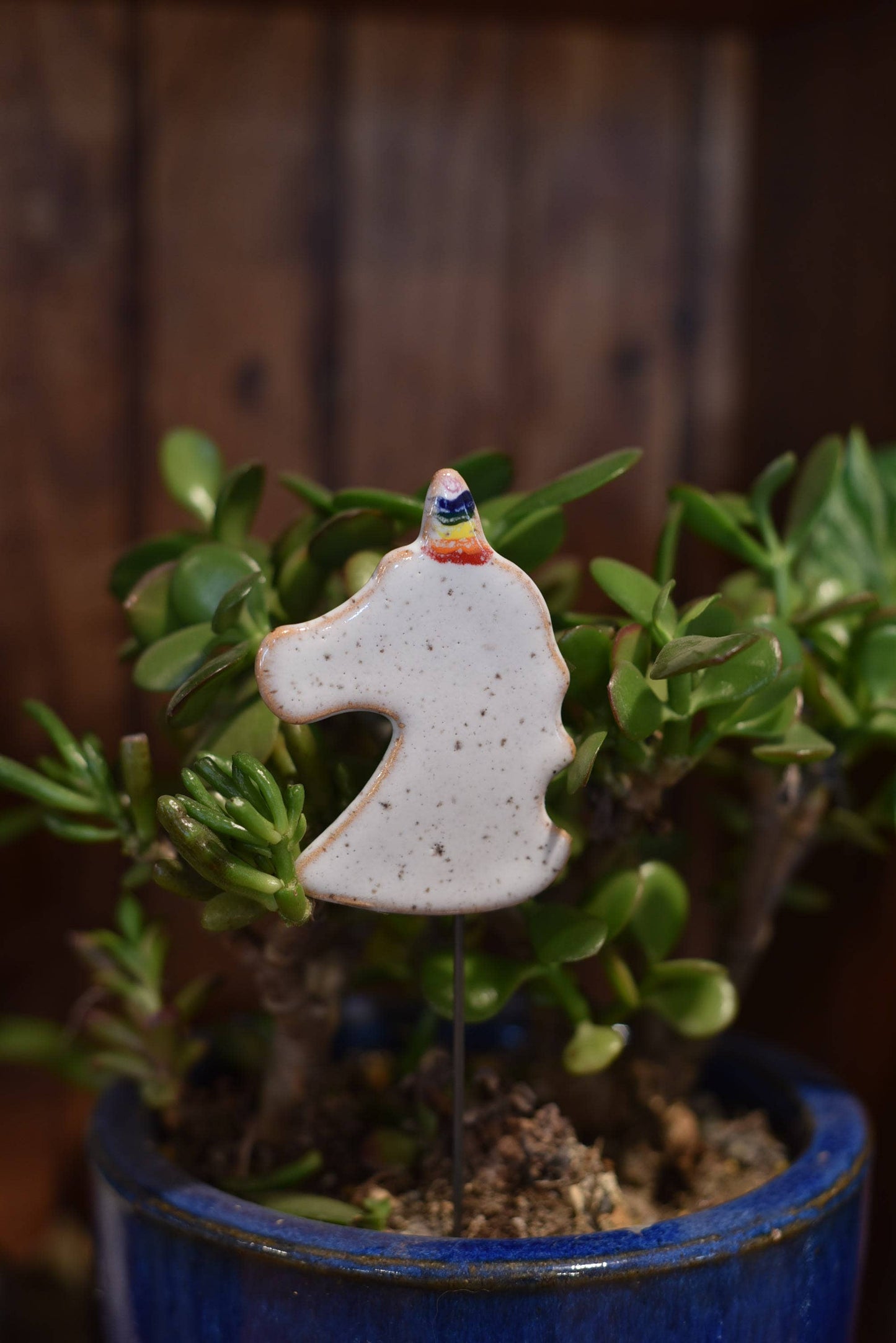 Plant Buddies - Unicorn