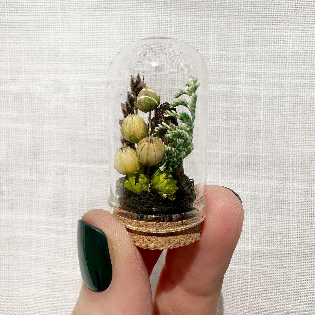 Haunted Forest Mini Terrarium Halloween Dried Floral Cloche
