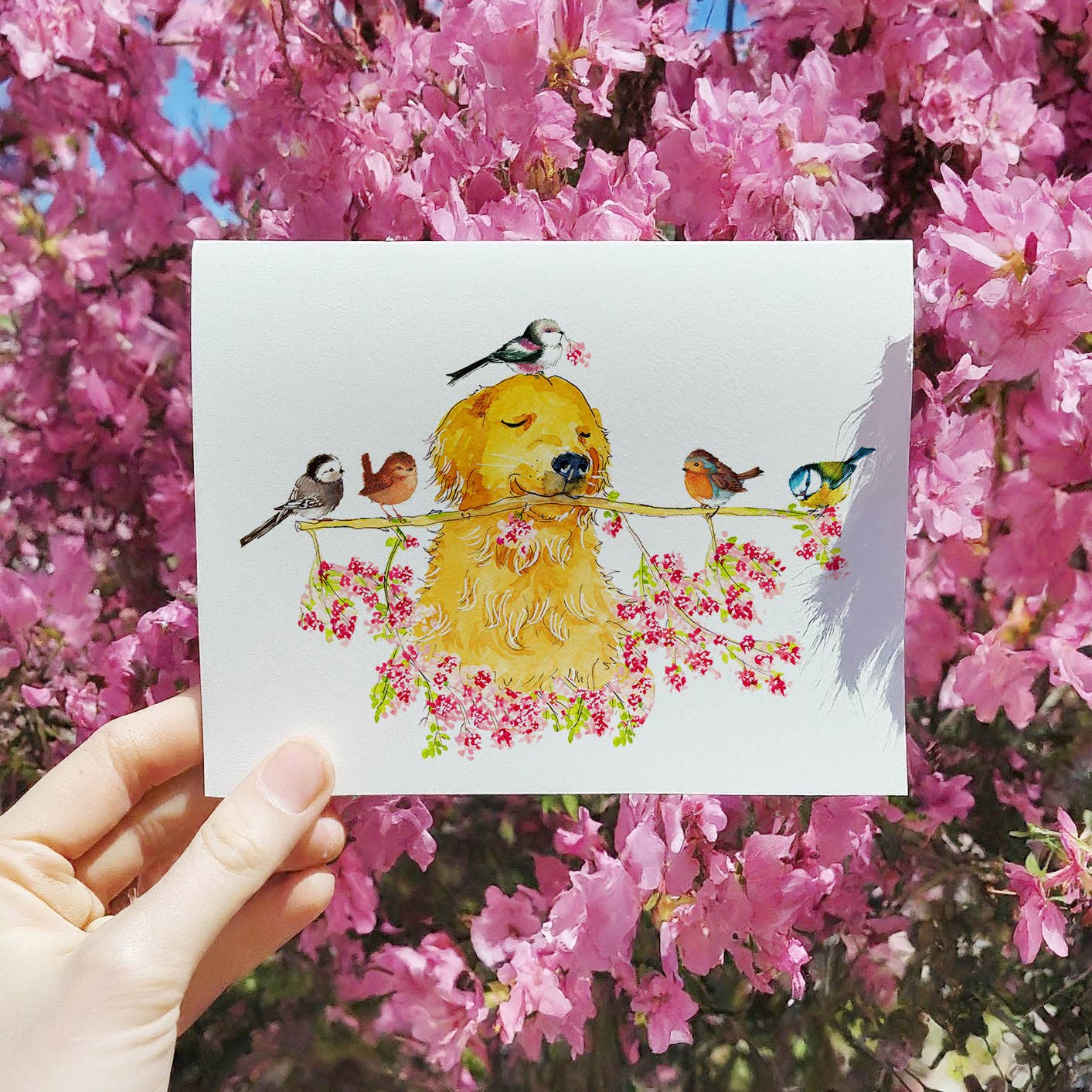 Spring Bird Dog - Easter Card