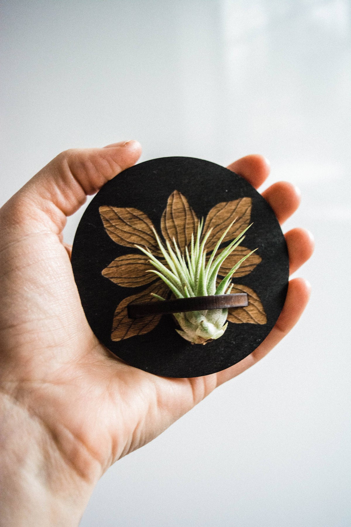 Art Deco Flower Airplant Holder Magnet Round