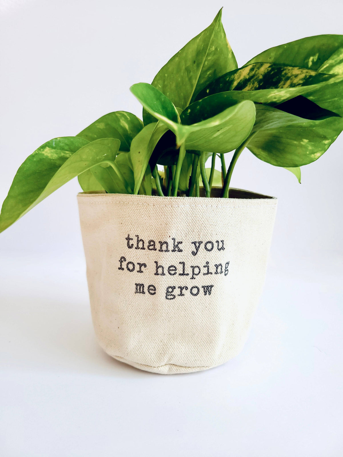 Thank you for helping me grow Canvas Plant Pot Cover