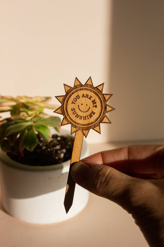 You Are My Sunshine Wood Plant Pick