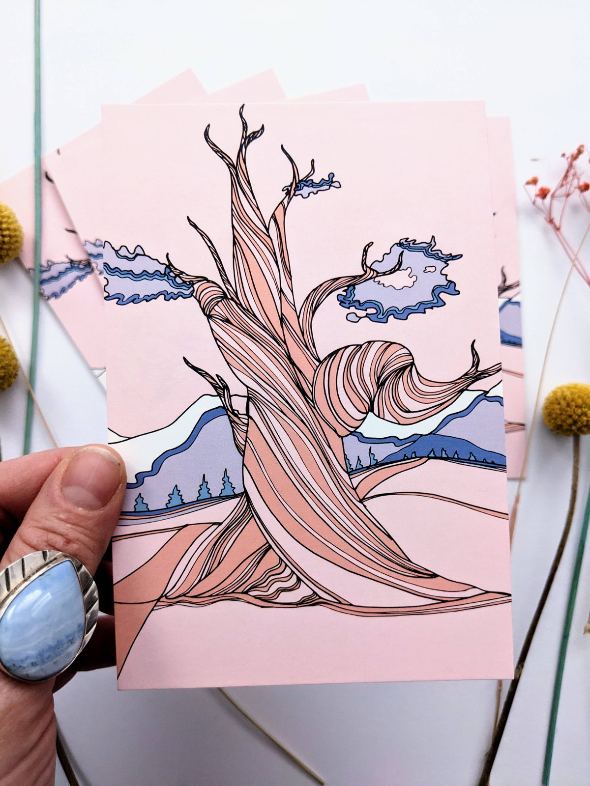 Bristlecone Pine Postcard, Nevada State Tree Postcard