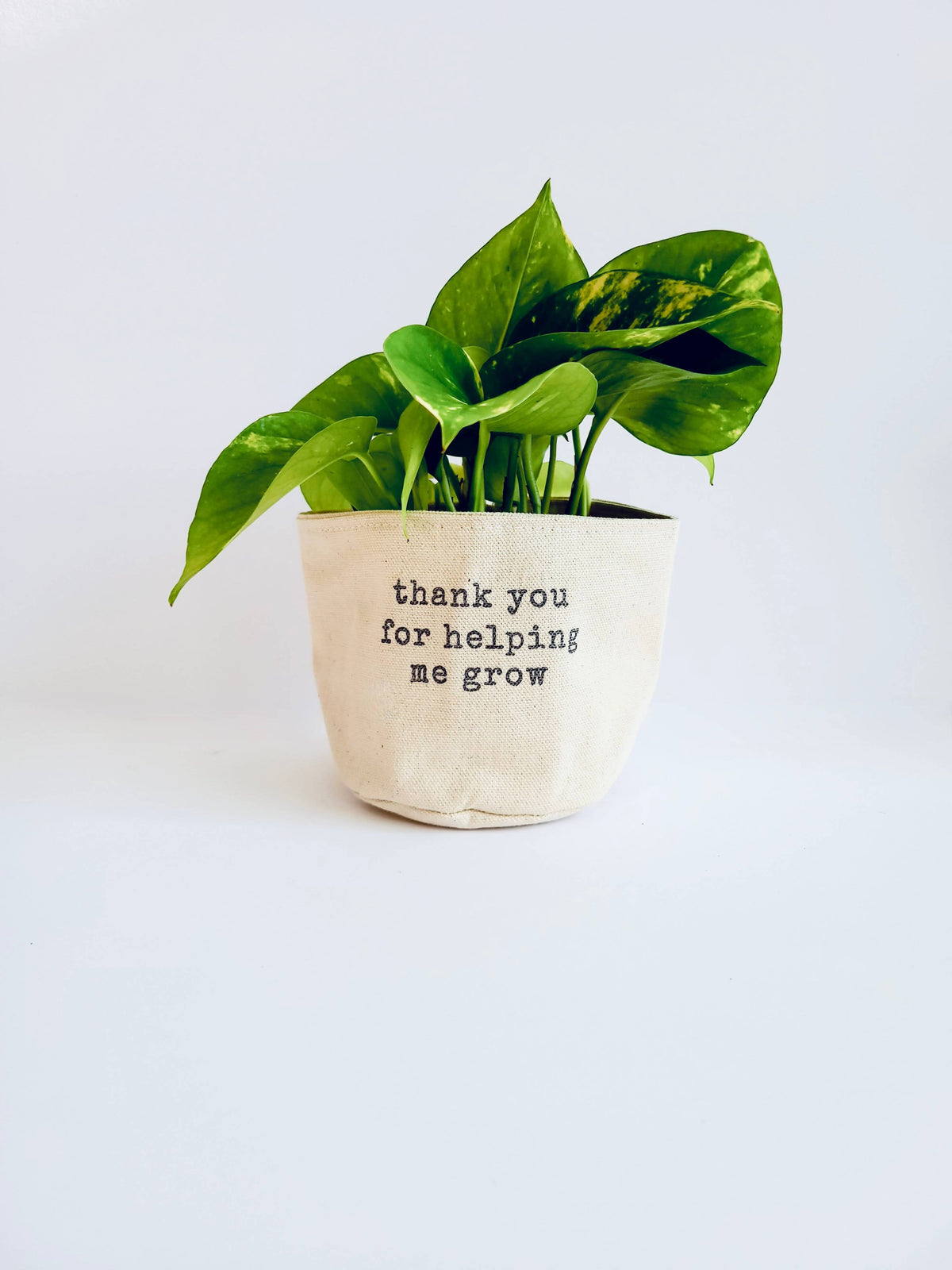 Thank you for helping me grow Canvas Plant Pot Cover